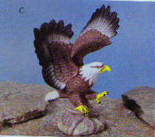 eagle.JPG (8811 bytes)