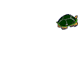 turtle11.gif (11412 bytes)